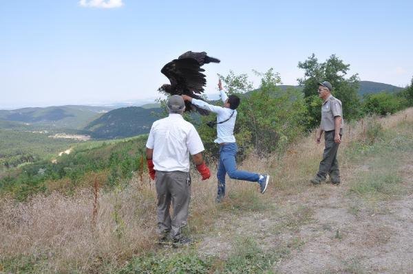 Releasing Vulture tagged with FLiteTraX