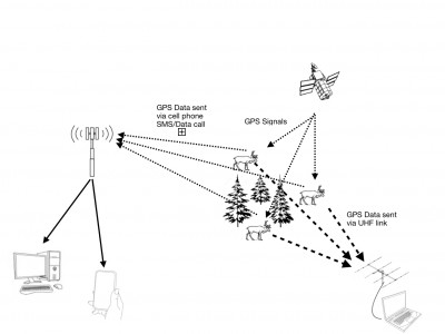 schematics Reindeer