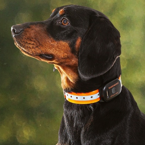 GPS/GSM Dog Tracking Collar
Tracking data uploaded to the EasyHunt App on your Smart Phone.
Induction charging .
Individual use with 1 dog.
Team Use with up to 30 users and 30 dogs.