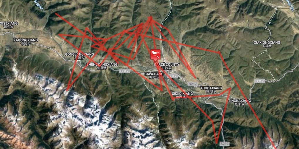 7 gps-collars.com Vultures in Thailand