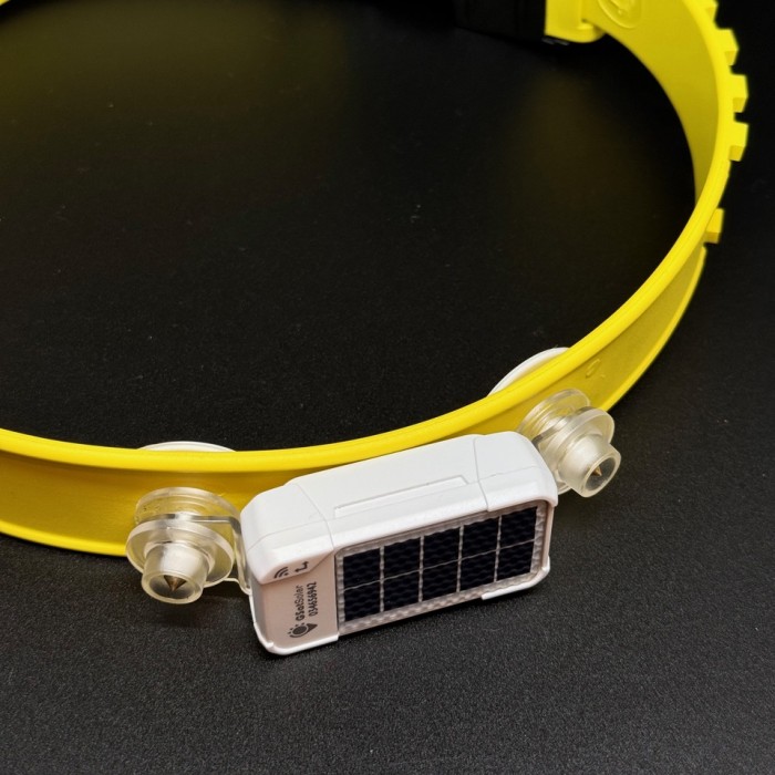 Solar GPS collar tag with Satellite Phone Connectivity starting at 72g.   Real time data availability and near worldwide coverage. Mortality and GeoFence come as standard.