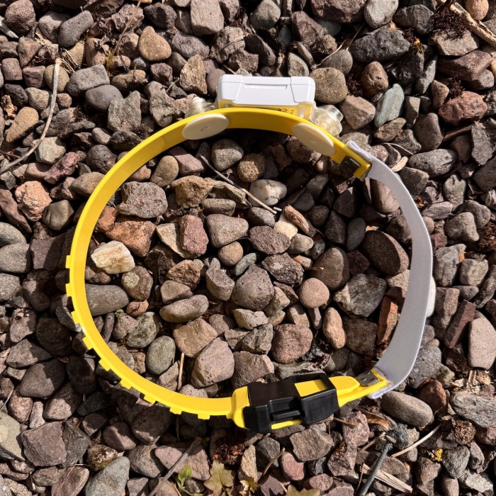 Solar GPS collar tag with Satellite Phone Connectivity starting at 72g.   Real time data availability and near worldwide coverage. Mortality and GeoFence come as standard.